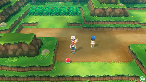 5 Poké Balls (Route 9).png