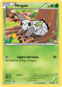 Ningale (XY Ciel Rugissant 9)
