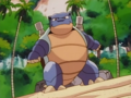 Tortank (sauvage)