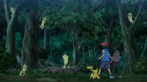 LV101 -Badabouin.png