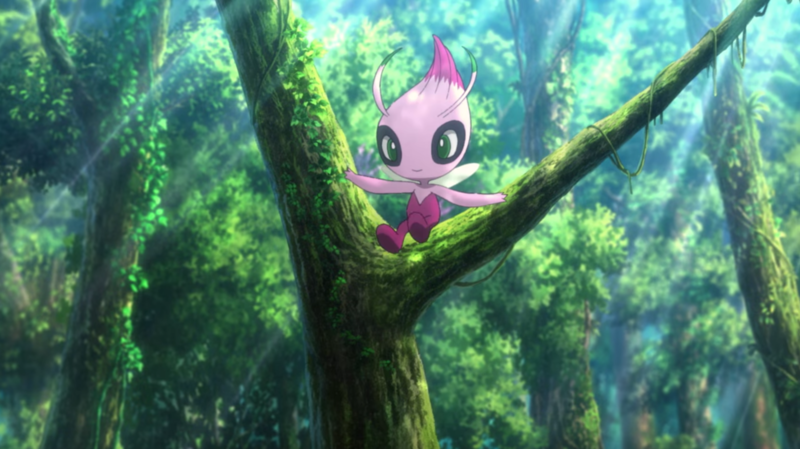 Fichier:Celebi sauvage - Film 23.png