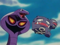 Arbok (de Jessie) et Smogogo (de James)