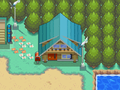 La maison du joueur dans Pokémon Or HeartGold et Argent SoulSilver.