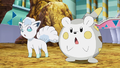 Goupix d'Alola (de Lilie) et Togedemaru (de Chrys)