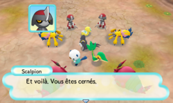 Les frères Scalpion reçoivent du renfort.