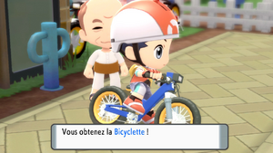 Vestigion Bicyclette DEPS.png