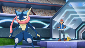 XY131 - Amphinobi de Sacha.png