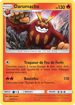 Darumacho (Soleil et Lune Alliance Infaillible 24)