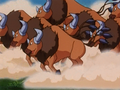 Tauros (de Sacha)