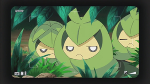 NB054 -Couverdure.png