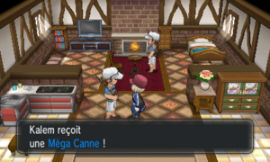 Route 16 Méga Canne XY.png