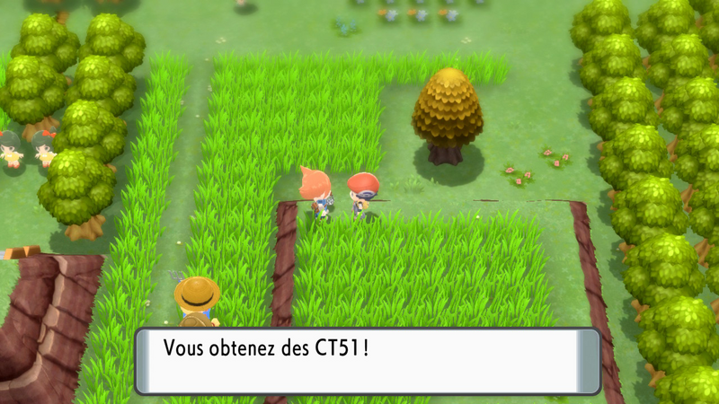 Fichier:Route 210 CT51 DEPS.png
