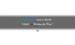 …et leur donne l'Anneau de l'Eau.