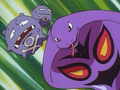 Arbok (de Jessie) et Smogogo (de James)