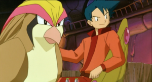 Film 01 - Pokémon d'Alberto - Roucarnage.png