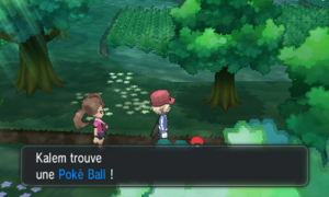 Forêt de Neuvartault Poké Ball XY.png