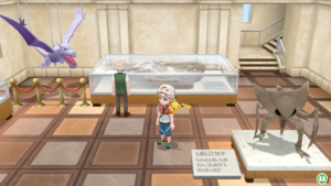 Musée des Sciences d'Argenta LGPE RDC.png