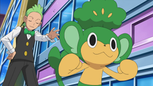 NB022 - Feuillajou de Rachid.png