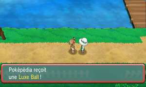 Route 104 Luxe Ball 2 ROSA.png