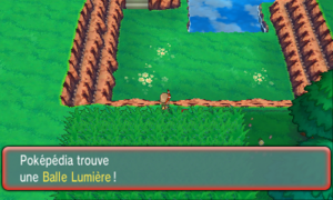 Route 120 Balle Lumière ROSA.png