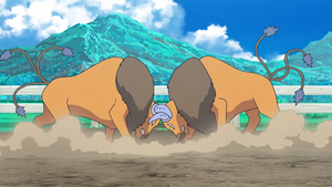 SL030 - Tauros de la ferme de Kiawe.png