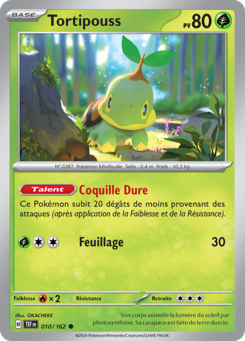 Tortipouss (Écarlate et Violet Forces Temporelles 010)