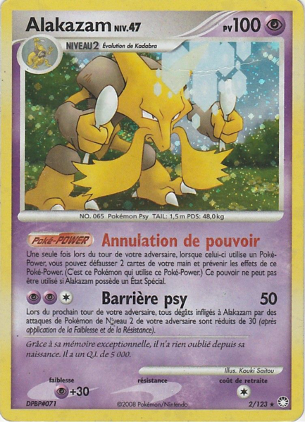 Fichier:Carte Diamant & Perle Trésors Mystérieux 2.png