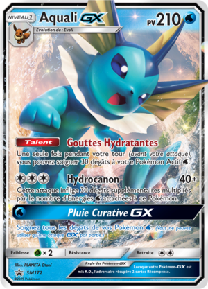 Carte Promo SM SM172.png