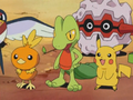 Pikachu (de Sacha), Foretress (de Pierre), Arcko (de Sacha) et Poussifeu (de Flora)