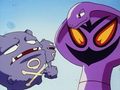 Arbok (de Jessie) et Smogogo (de James)