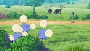 LH009 - Cotovol et Tauros de Paldea.png