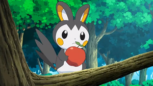 NB024 - Emolga d'Iris.png