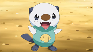 NB049 - Moustillon de Sacha.png