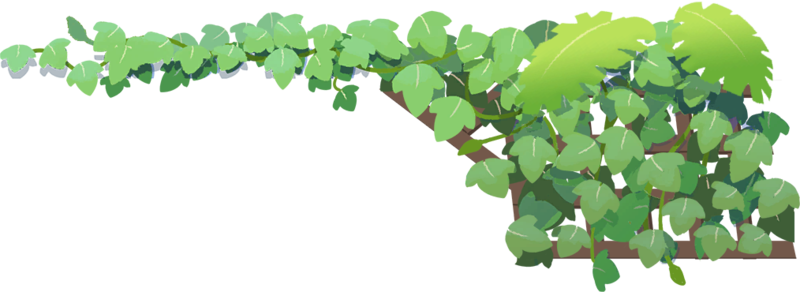 Fichier:Amélioration Rideau de verdure-CM.png