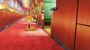 Baggiguane de Sacha - Film 15.png