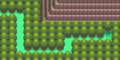 Le Chemin Source dans Pokémon Diamant et Perle.