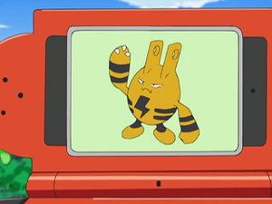 DP137 - Élekid Pokédex.png
