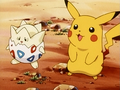 Pikachu (de Sacha) et Togepi (d'Ondine)