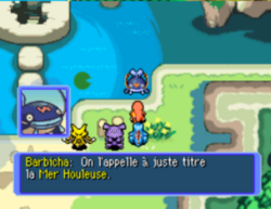 Barbicha explique que ce donjon est en fait la Mer Houleuse.