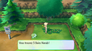 Route 10 Baie Nanab LGPE.png