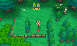 Route 116 Huile ROSA.png