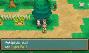 Route 117 Hyper Ball ROSA.png