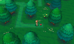 Route 123 Herbe Rappel ROSA.png