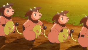 SL011 - Écrémeuh de la ferme de Kiawe.png