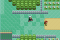 Brice sur son Vélo Cross dans Pokémon Émeraude.