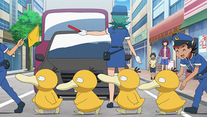 LV067 - Psykokwak.png