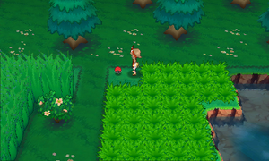 Parc Safari Pépite ROSA.png