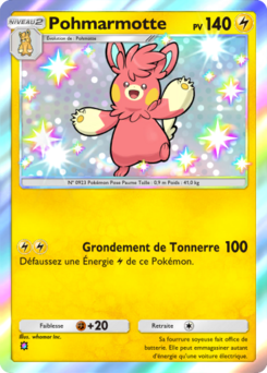 Pohmarmotte (Merveilles de Paldea 121)