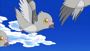 NB054 - Poichigeon.png