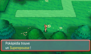 Route 123 Superepousse ROSA.png